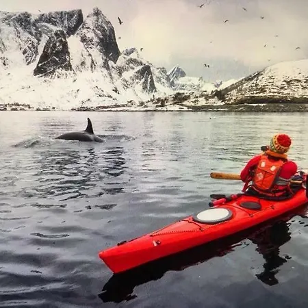 公寓 Cozy In The Middle Of Lofoten 莱克内斯